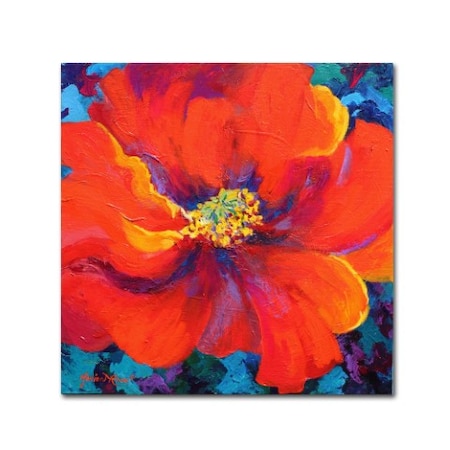 Marion Rose 'Passion Poppy' Canvas Art,35x35